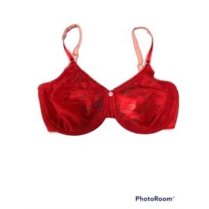 NWOT Beautiful cherry red Whimsy underwire bra 36DDD